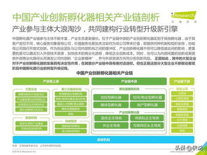 孵化未来 2019年中国产业创新孵化器深度解析与企业项目孵化新趋势